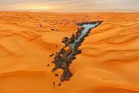 وجهة 4